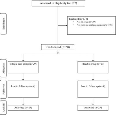 Ellagic acid effects on disease severity, levels of cytokines and T-bet, RORγt, and GATA3 genes expression in multiple sclerosis patients: a multicentral-triple blind randomized clinical trial